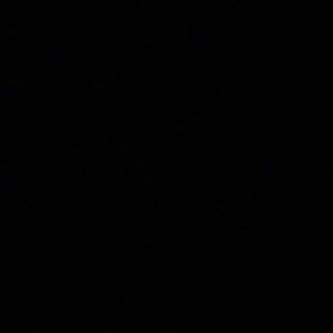 Meet your Posher, Taitum